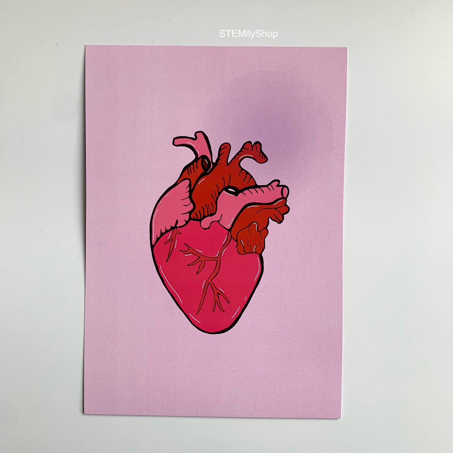 Pink and red anatomical heart hand drawn art print in A5 or A4