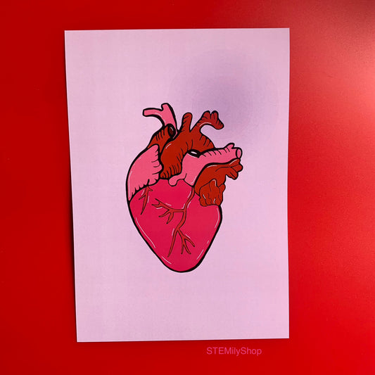 Pink and red anatomical heart hand drawn art print in A5 or A4