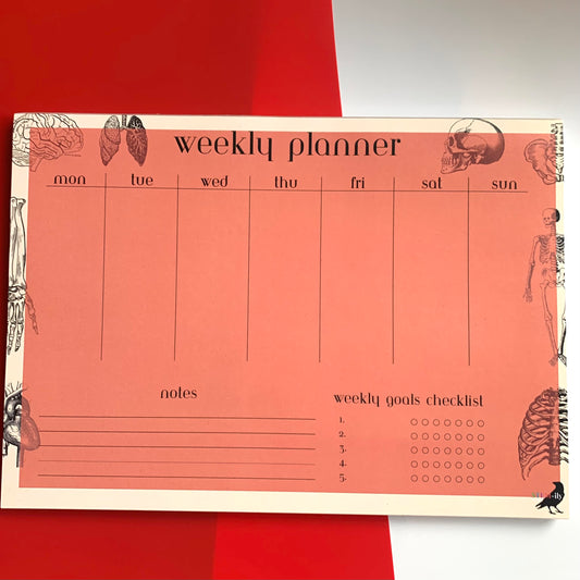 Red/ orange Anatomy Science weekly student planner note pad