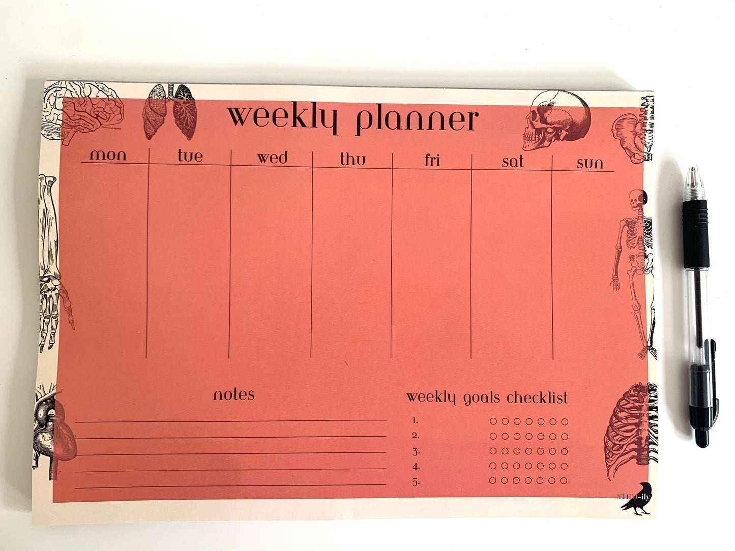 Red/ orange Anatomy Science weekly student planner note pad