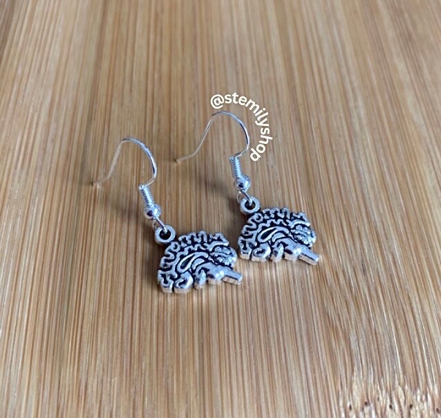 Cool quirky silver brain stem science drop dangle biology earrings on hypoallergenic surgical steel hooks
