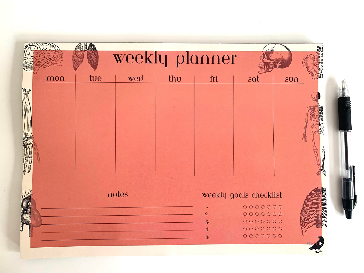 Red/ orange Anatomy Science weekly student planner note pad