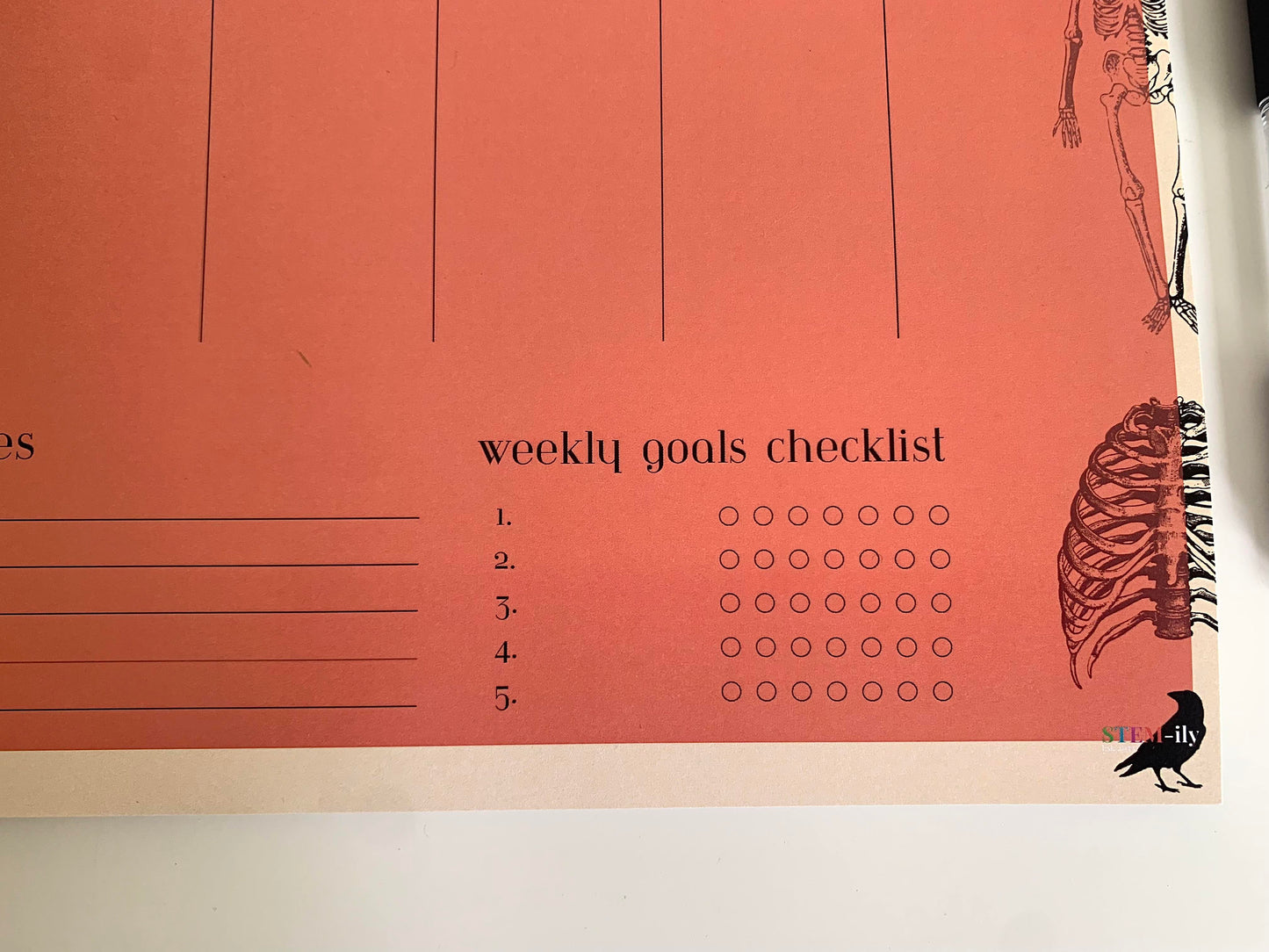 Red/ orange Anatomy Science weekly student planner note pad